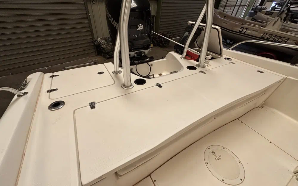 slider 13 Boston Whaler 230 Dauntless