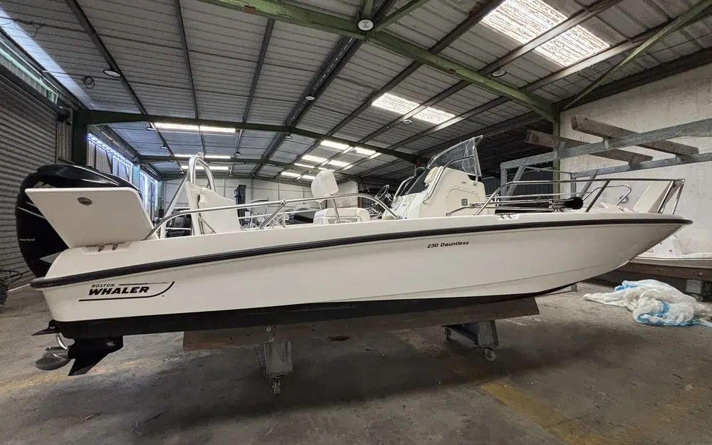 slider 21 Boston Whaler 230 Dauntless