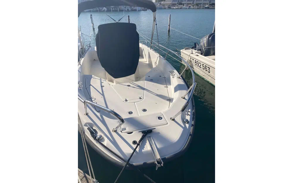 slider 2 Boston Whaler 230 Dauntless