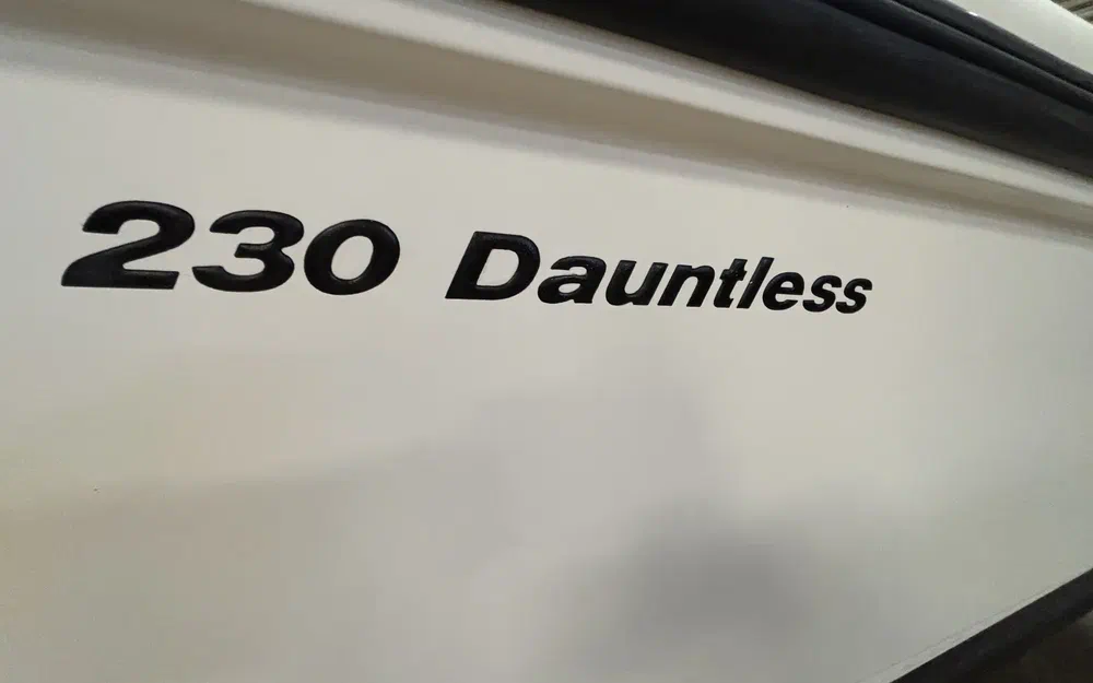 slider 33 Boston Whaler 230 Dauntless