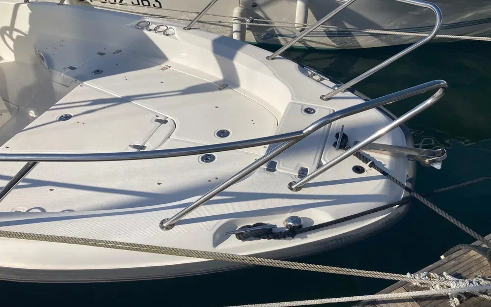 slider 3 Boston Whaler 230 Dauntless