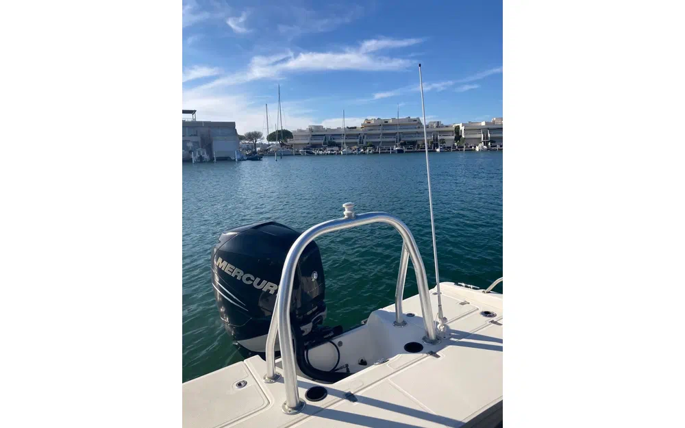 slider 7 Boston Whaler 230 Dauntless