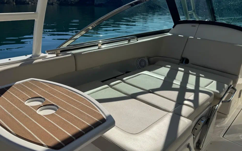 slider 9 Boston Whaler 270 Vantage