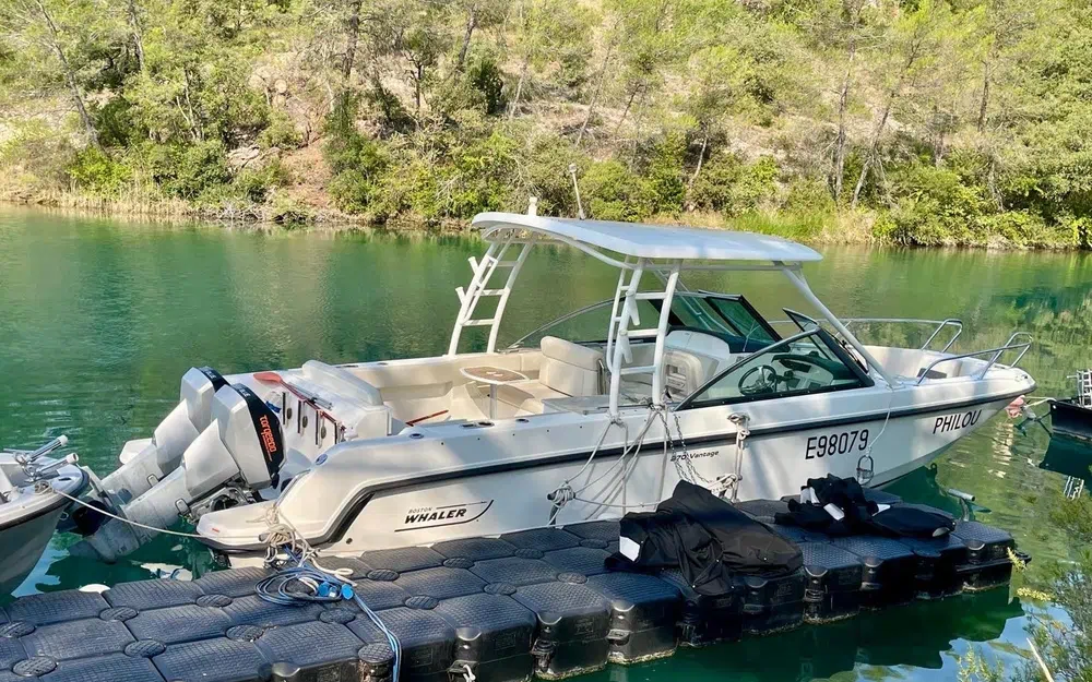 slider 19 Boston Whaler 270 Vantage