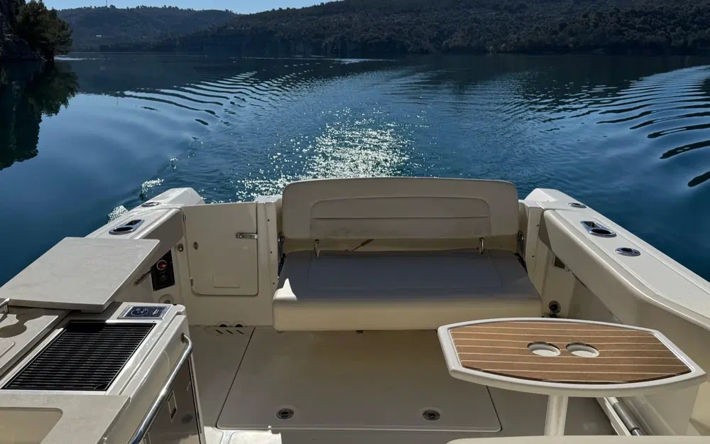 slider 6 Boston Whaler 270 Vantage