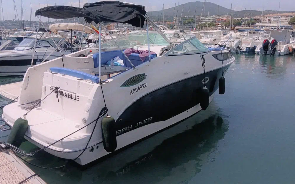 slider 1 Bayliner 255