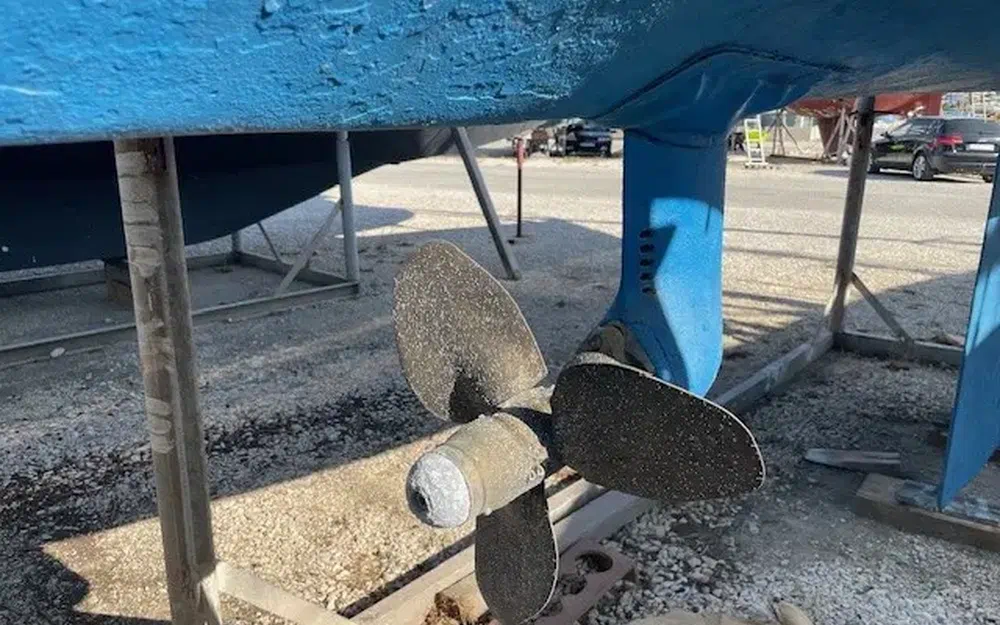 slider 6 Olympic Carter 33