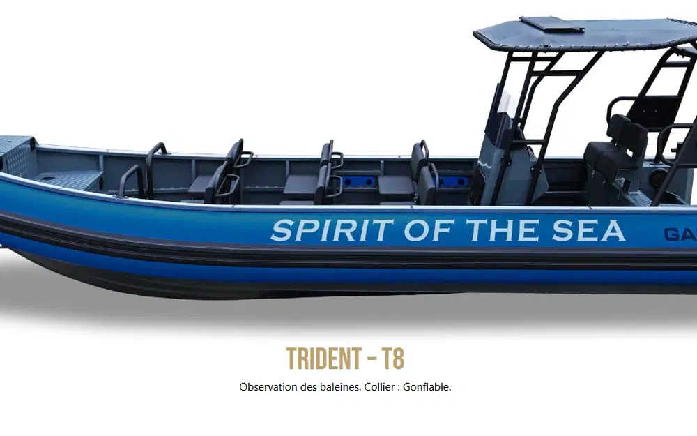 slider 5 Galaxy Trident T8