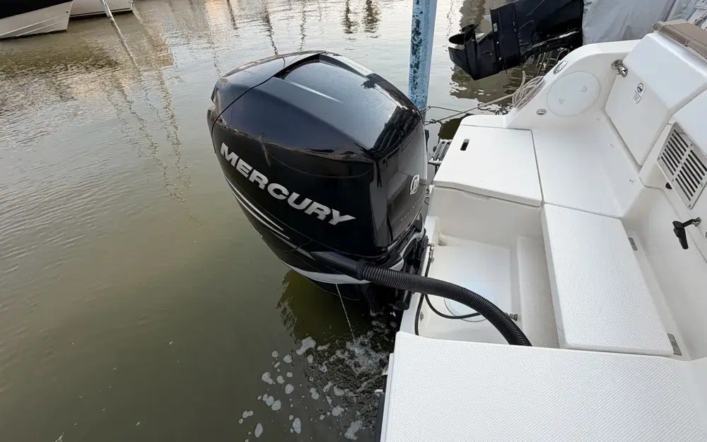 slider 39 Quicksilver Activ 755 Sundeck