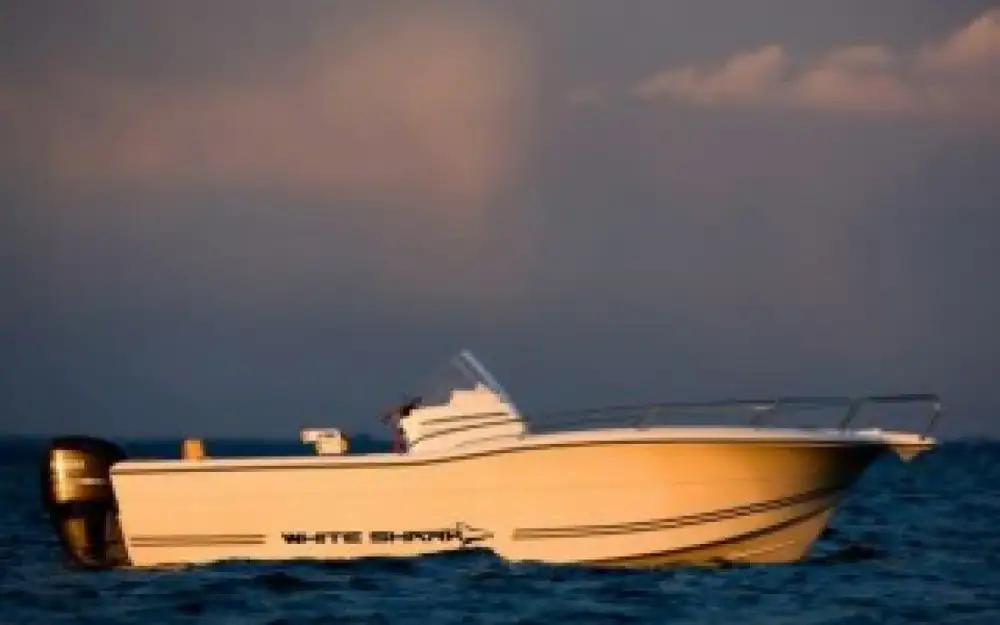 White SharkWhite Shark 230 CC Origin