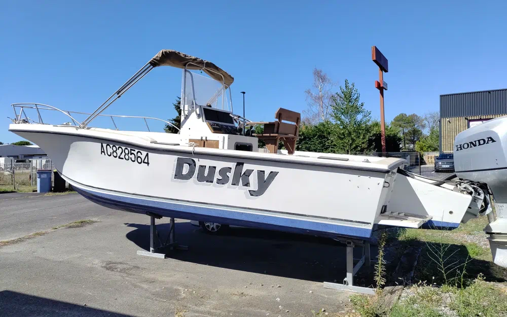 slider 1 Dusky Fisherman 233