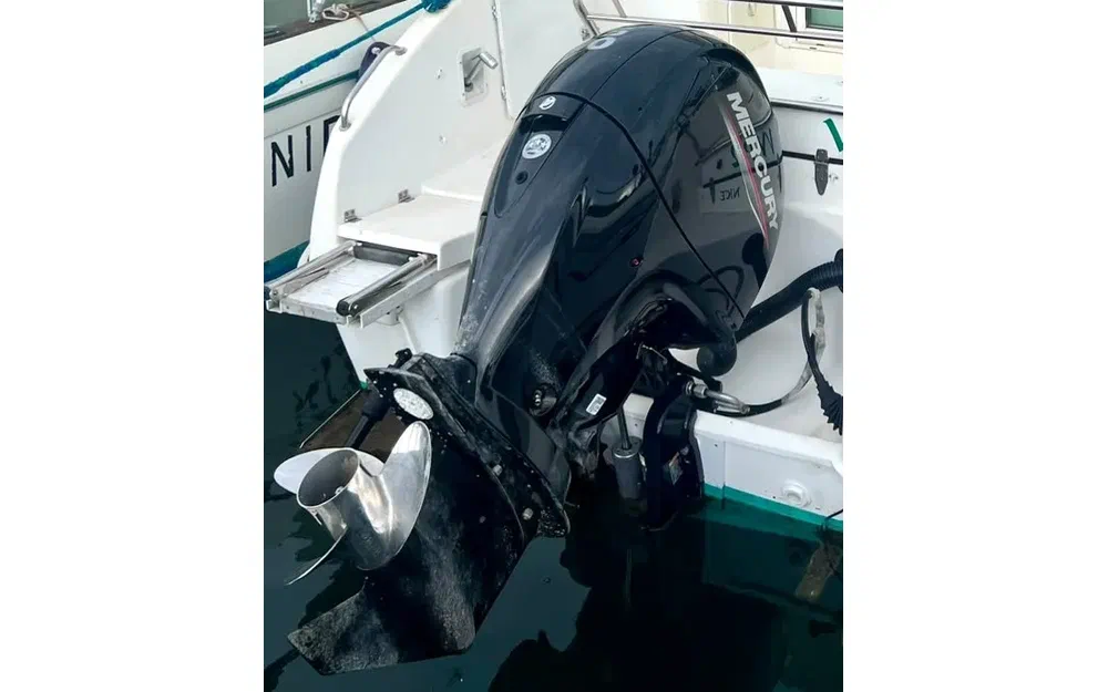 slider 9 Mery Nautic Arguin 650