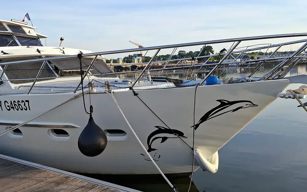 slider 47 Vedette Hollandaise Vedette 15m