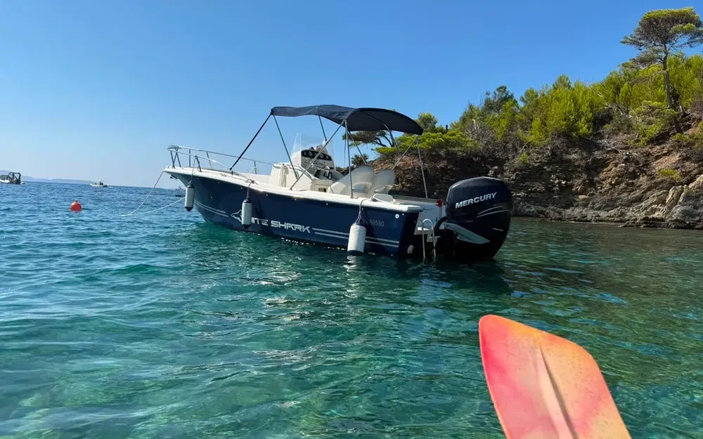 slider 1 Kelt White Shark 225