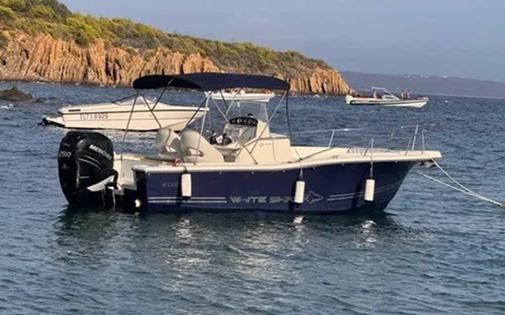 slider 0 Kelt White Shark 225