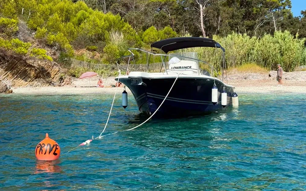 slider 3 Kelt White Shark 225