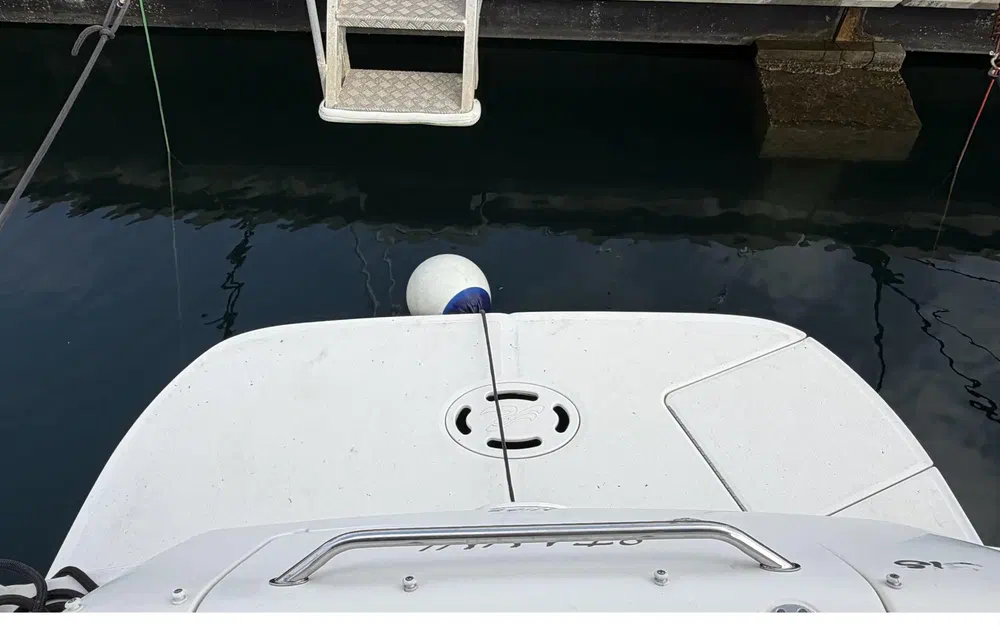 slider 2 Sea Ray 315 Sundancer