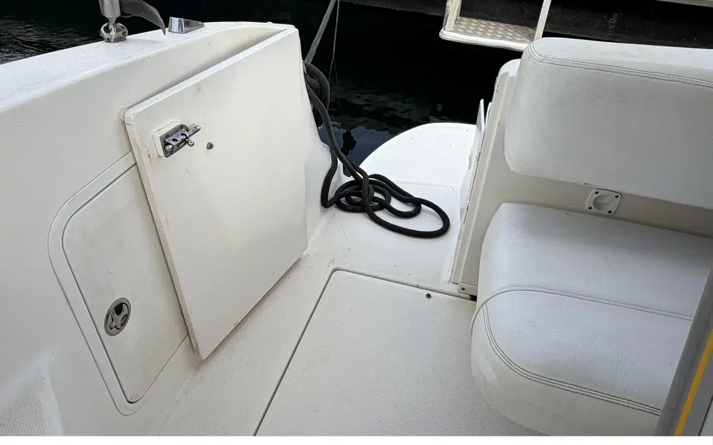 slider 10 Sea Ray 315 Sundancer