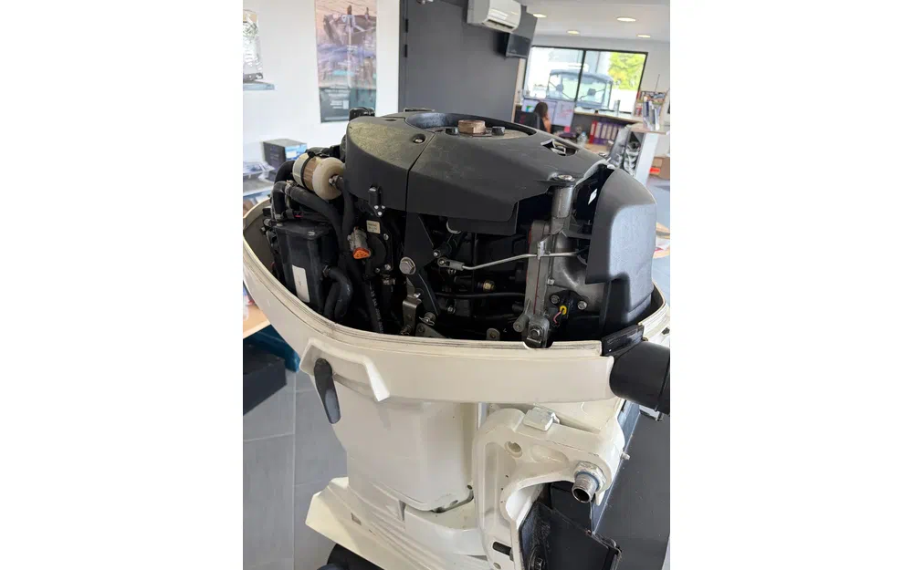 slider 3 EVINRUDE 60 E-TEC