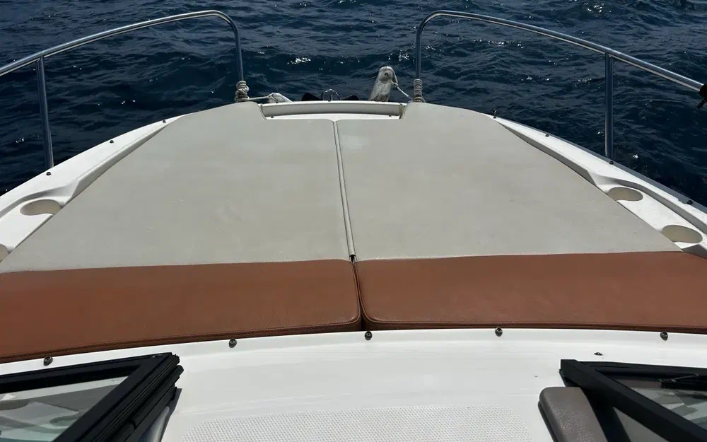 slider 14 Sea Ray 230 SPX