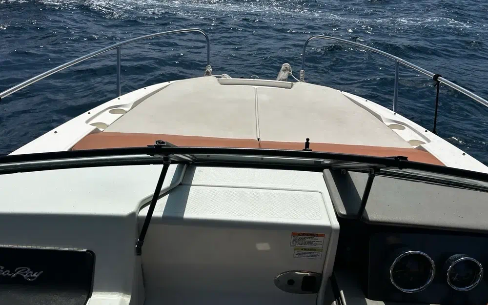 slider 15 Sea Ray 230 SPX