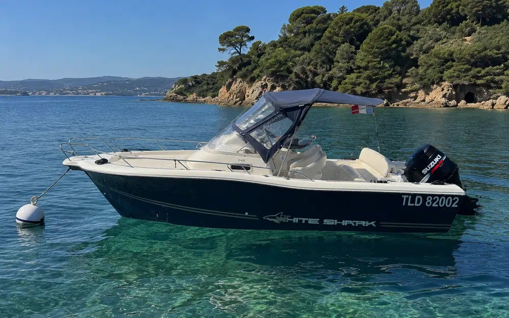 slider 0 Kelt White Shark 248