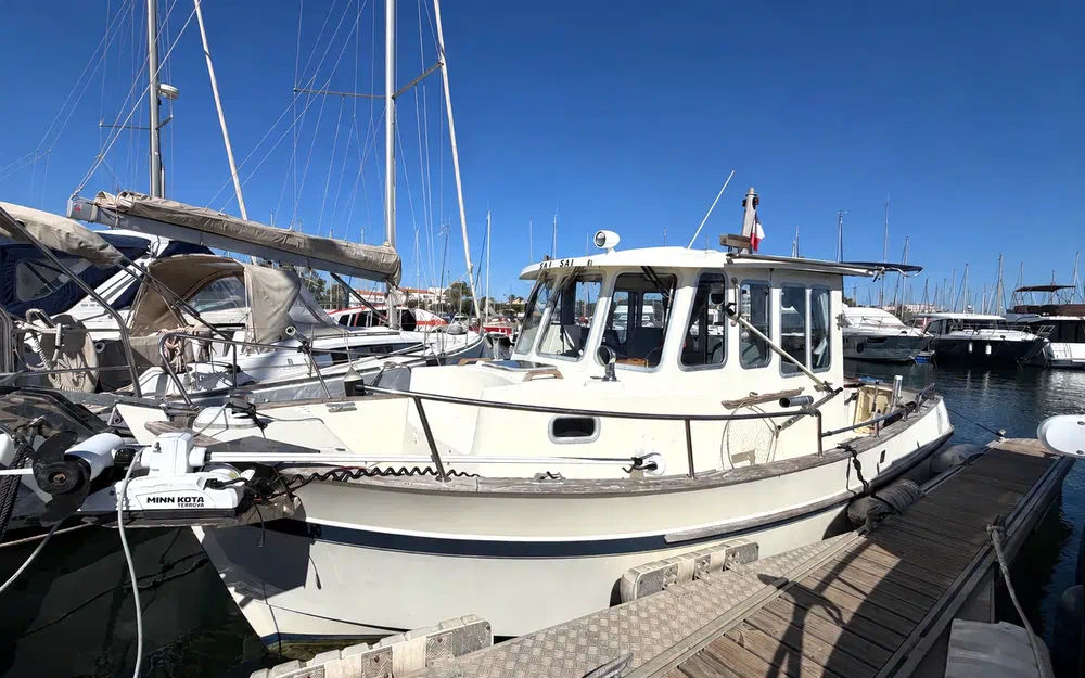 slider 1 Rhea 28 Timonier