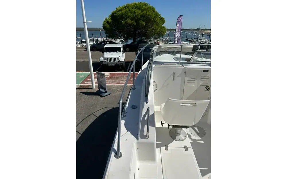 slider 11 Boston Whaler 21 Conquest
