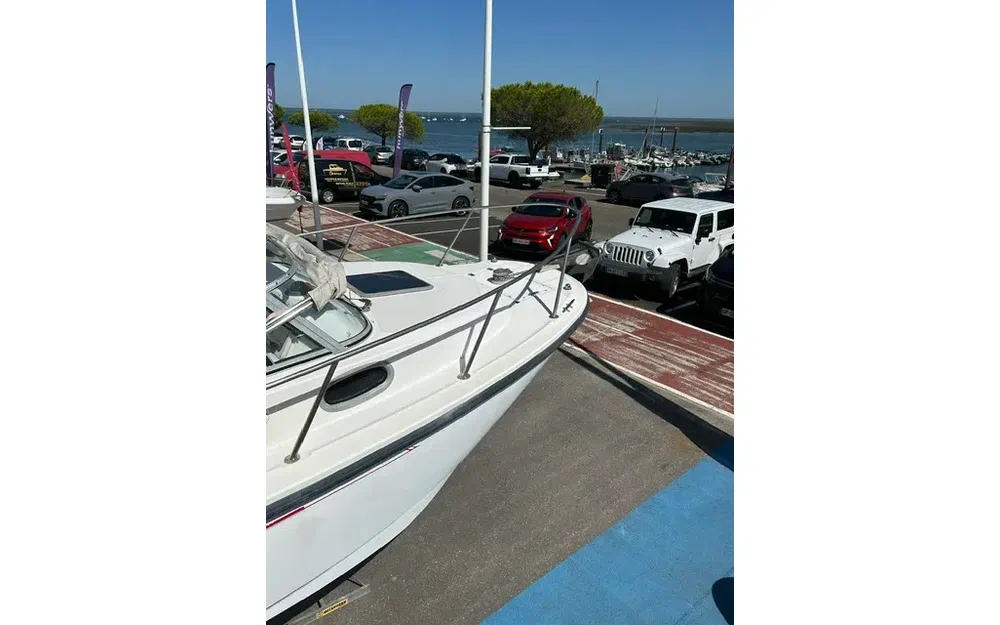 slider 16 Boston Whaler 21 Conquest