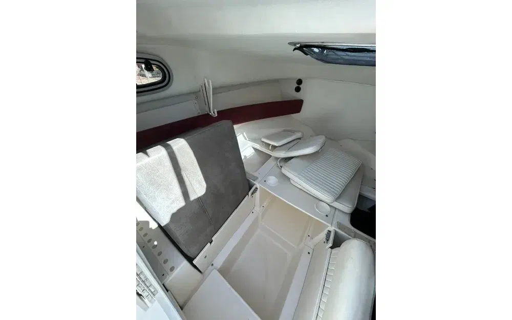slider 3 Boston Whaler 21 Conquest