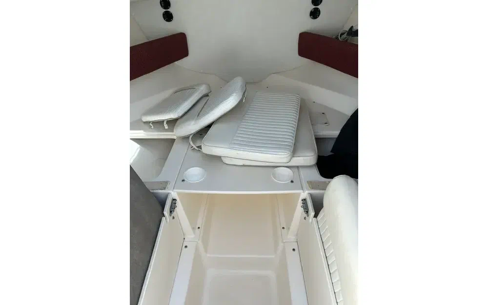 slider 5 Boston Whaler 21 Conquest