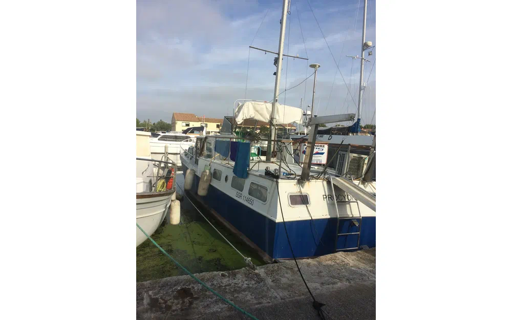 slider 1 Jonkers Paans Vedette 14m