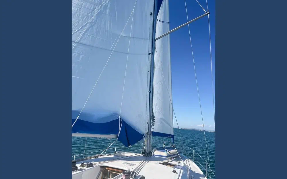 slider 1 Mintyachts Icemint 40