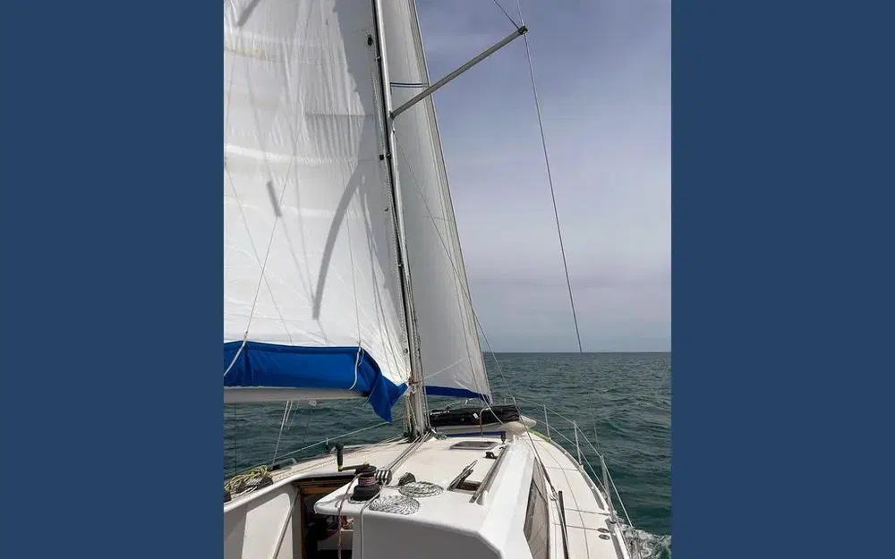 slider 3 Mintyachts Icemint 40
