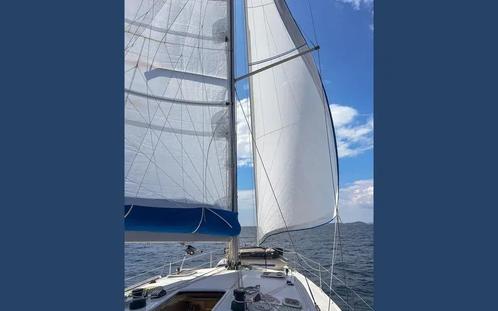 slider 4 Mintyachts Icemint 40