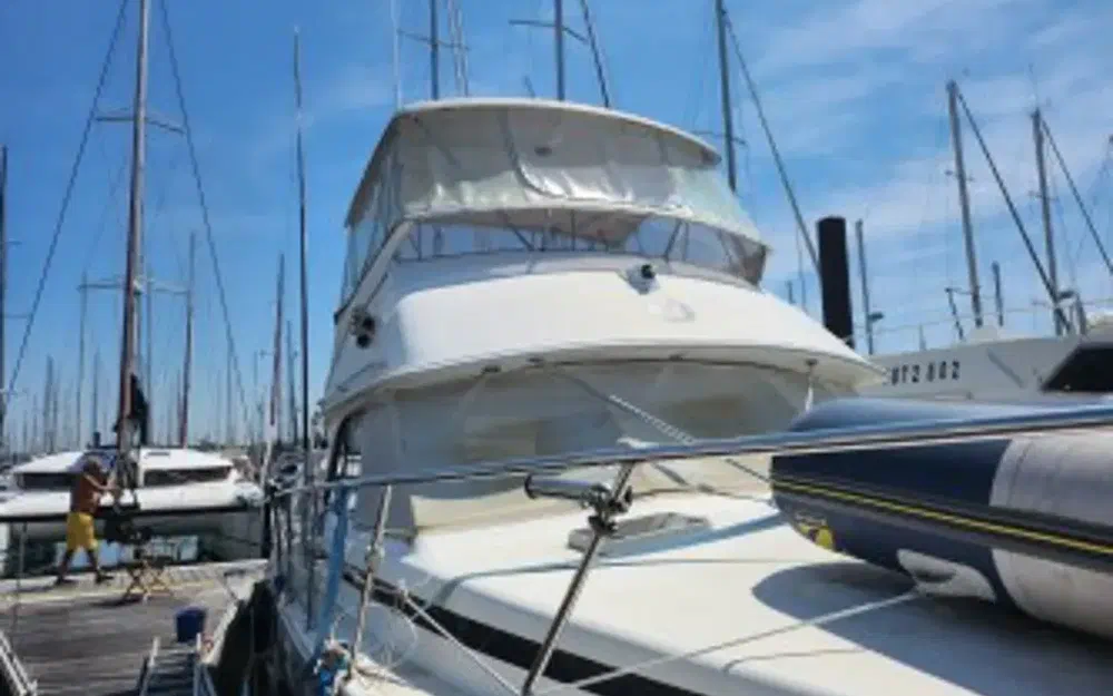 slider 0 Caribbean Fishing 40
