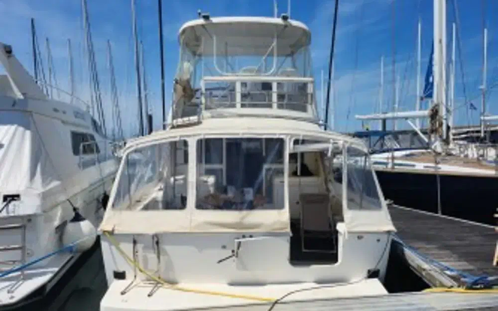 slider 1 Caribbean Fishing 40