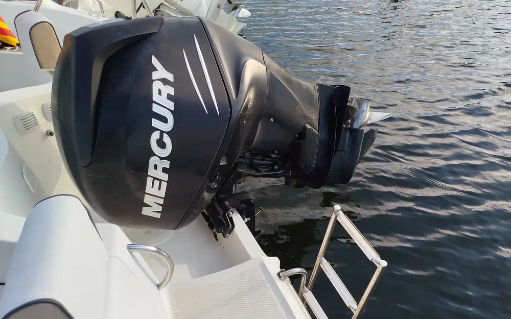 slider 3 Quicksilver 635 WA