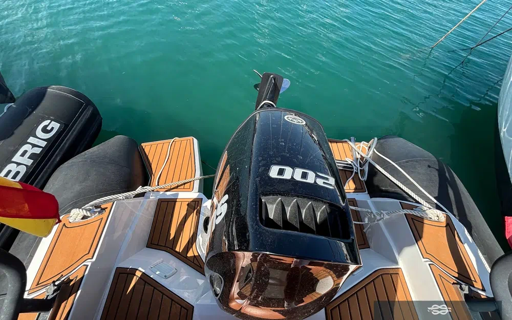 slider 20 Tiger Marine 740 Proline