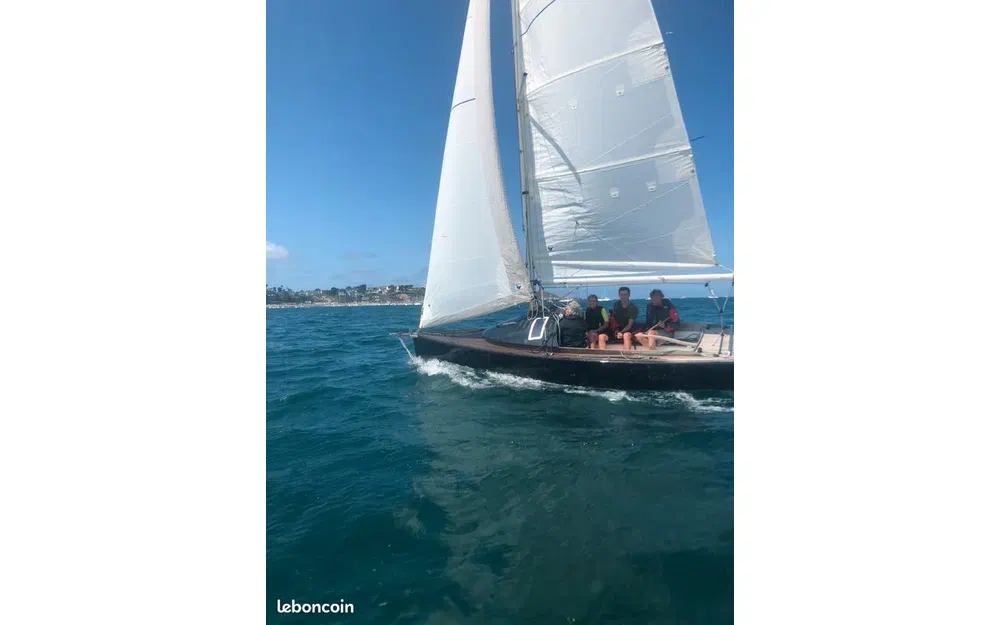 slider 2 Billie Marine Courlis Raid