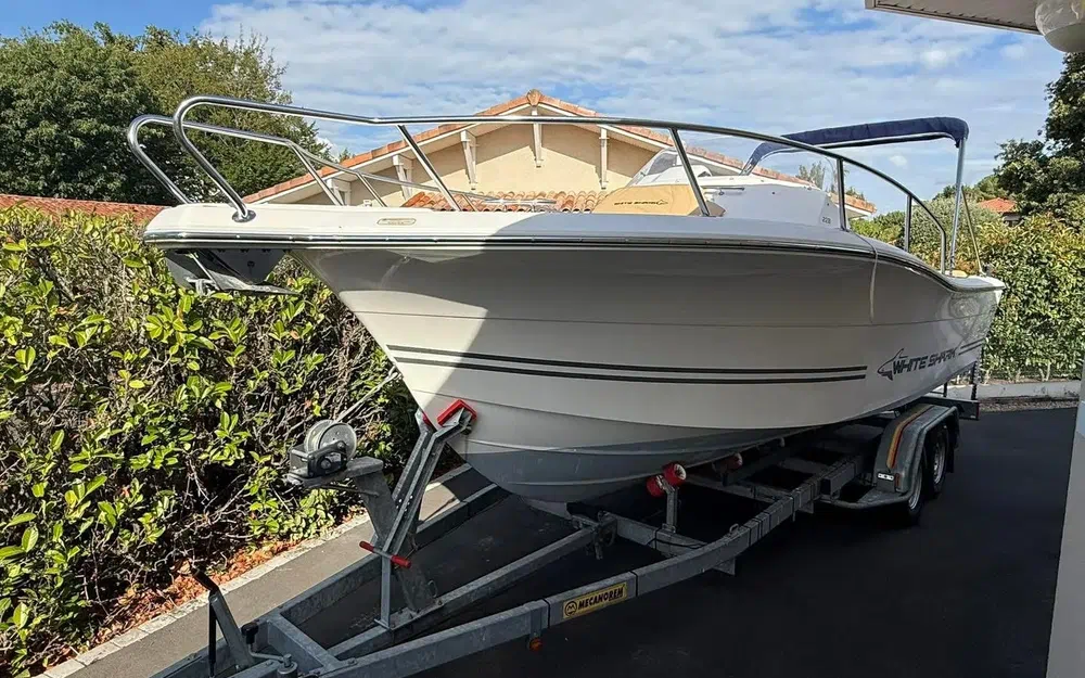 slider 1 Kelt White Shark 228