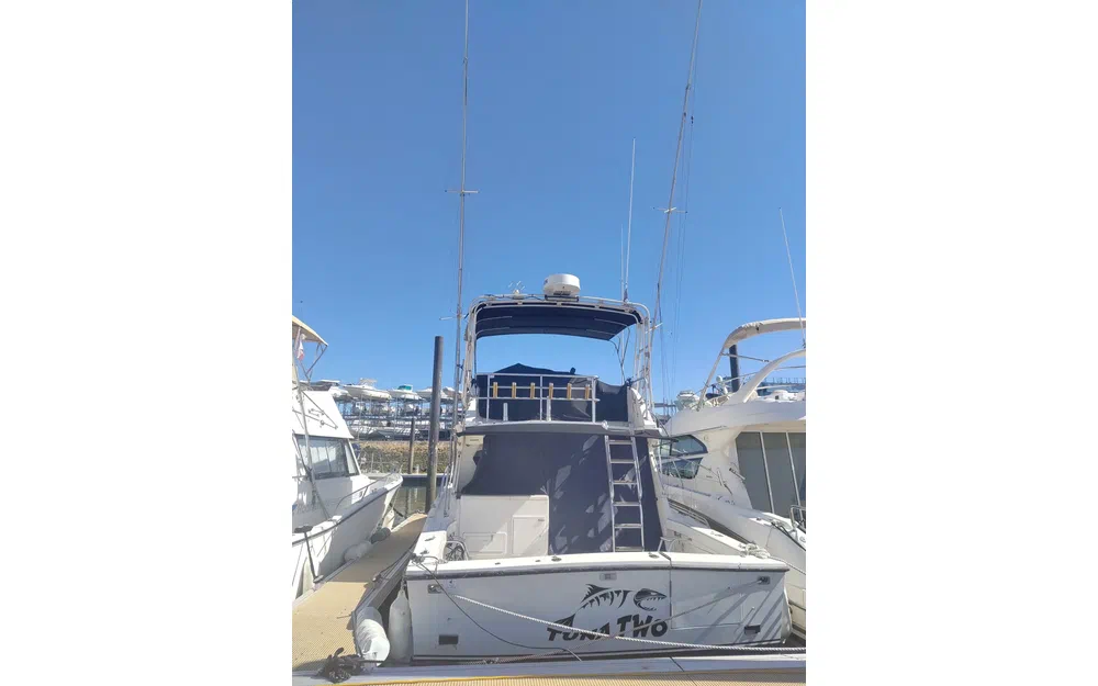 slider 3 Black Fin 38 Flybridge