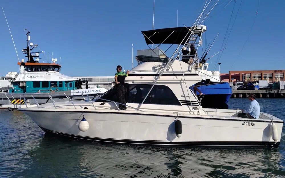 slider 2 Black Fin 38 Flybridge