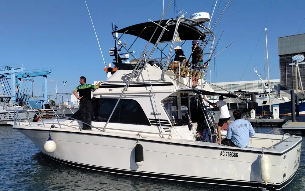 slider 0 Black Fin 38 Flybridge
