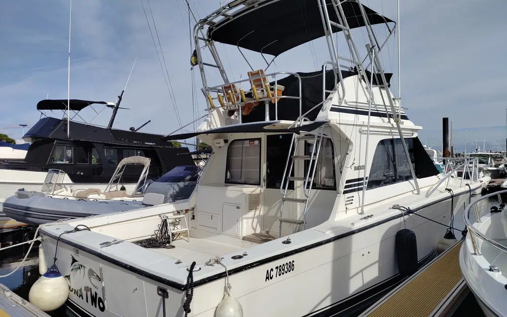 slider 0 Black Fin 38 Flybridge