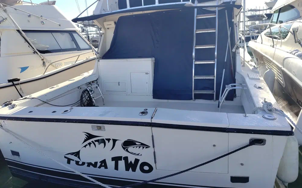 slider 5 Black Fin 38 Flybridge
