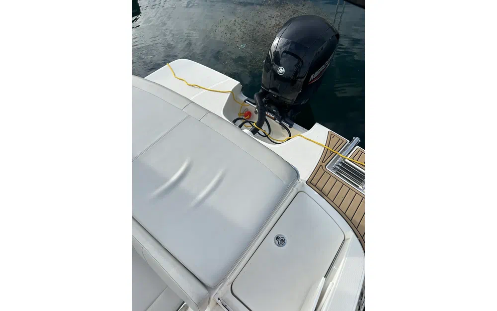 slider 6 Sea Ray 190 SPX OB