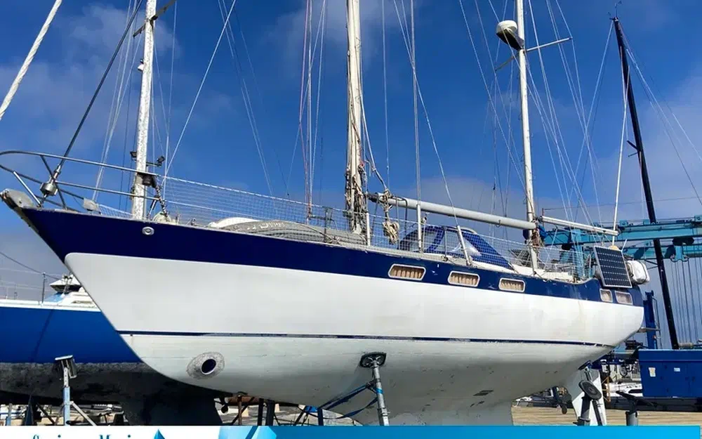 slider 0 Wauquiez Amphitrite 43