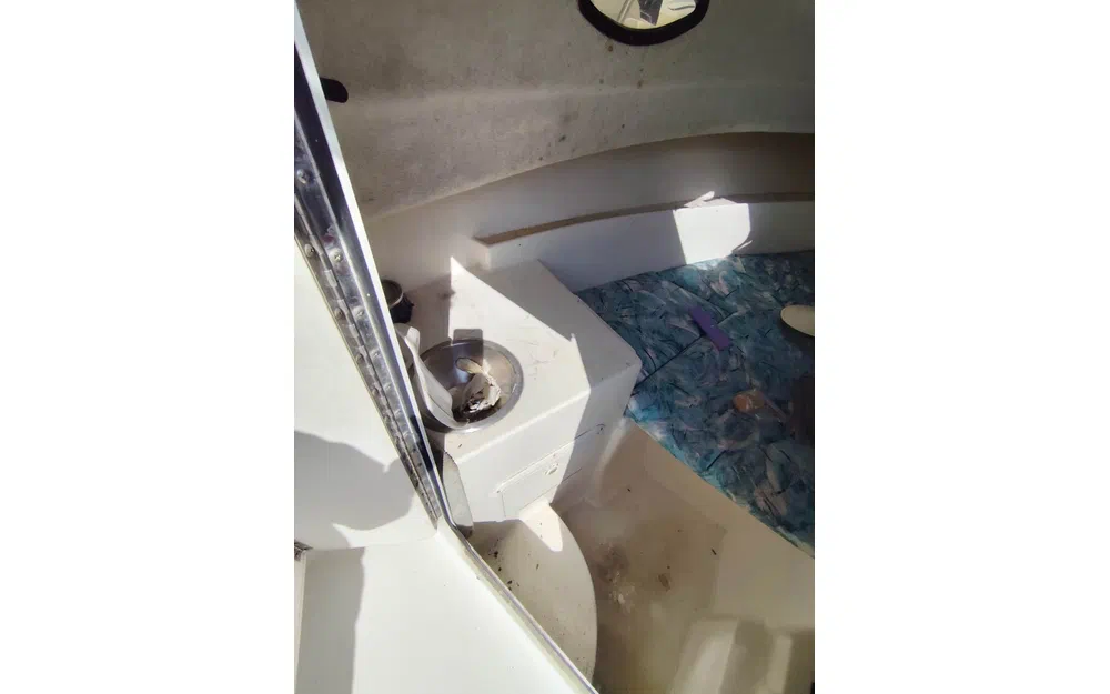 slider 9 Seaswirl Striper 2300 WA