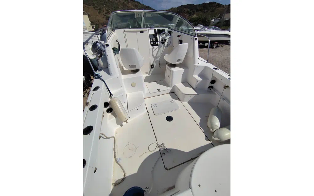 slider 12 Seaswirl Striper 2300 WA